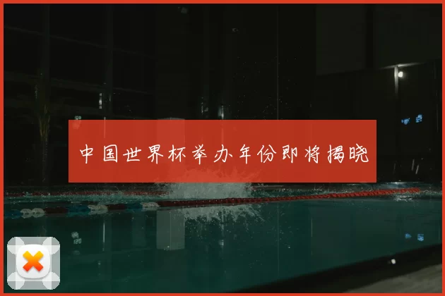 中国世界杯举办年份即将揭晓
