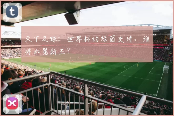 天下足球：世界杯的绿茵史诗，谁将加冕新王？