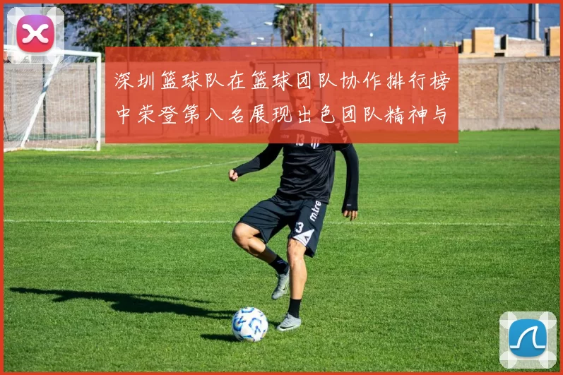 深圳篮球队在篮球团队协作排行榜中荣登第八名展现出色团队精神与实力
