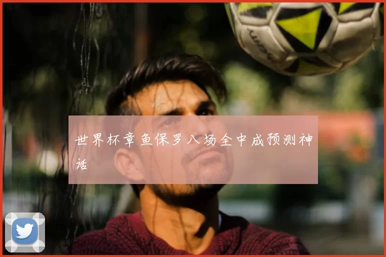世界杯章鱼保罗八场全中成预测神话