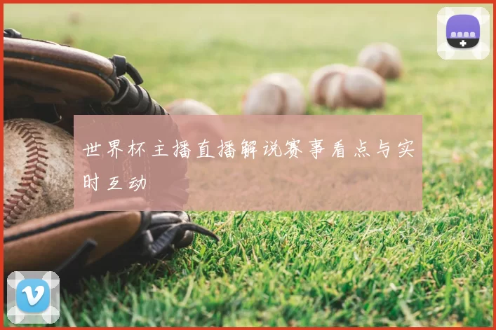 世界杯主播直播解说赛事看点与实时互动
