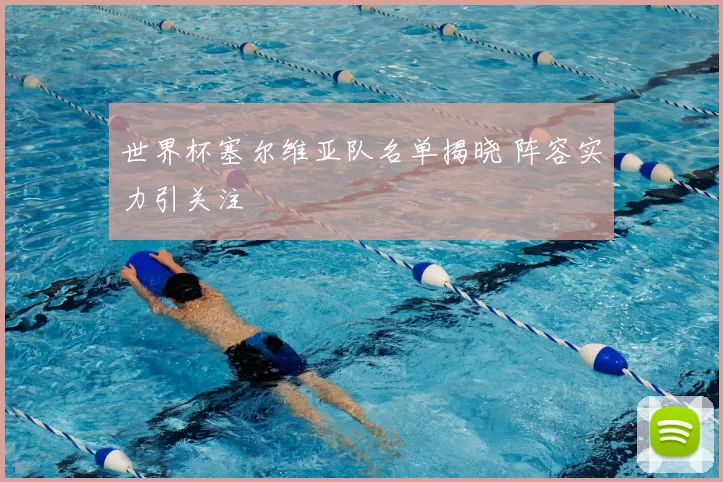世界杯塞尔维亚队名单揭晓 阵容实力引关注