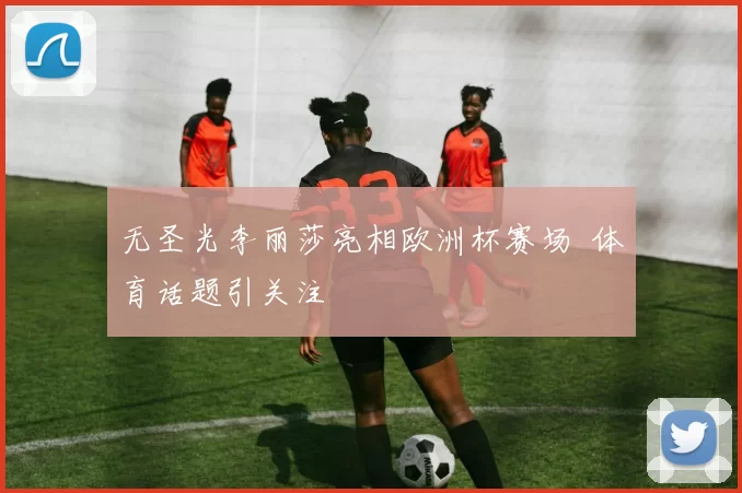 无圣光李丽莎亮相欧洲杯赛场 体育话题引关注