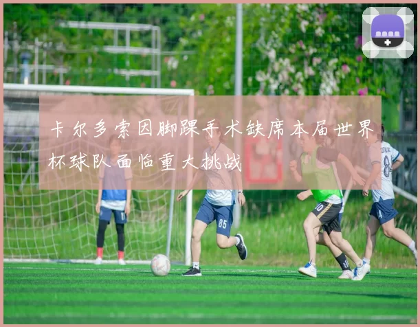 卡尔多索因脚踝手术缺席本届世界杯球队面临重大挑战