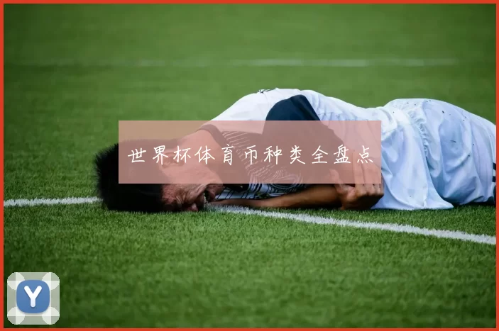 世界杯体育币种类全盘点