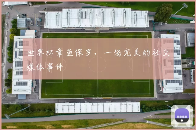 世界杯章鱼保罗,一场完美的社交媒体事件