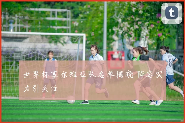 世界杯塞尔维亚队名单揭晓 阵容实力引关注