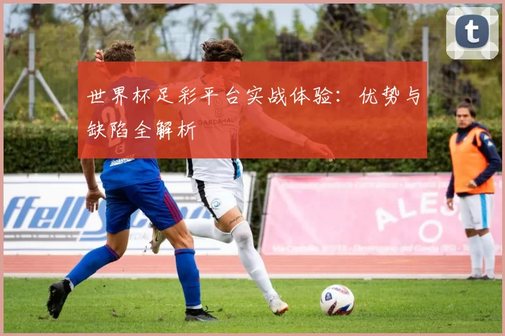 世界杯足彩平台实战体验:优势与缺陷全解析