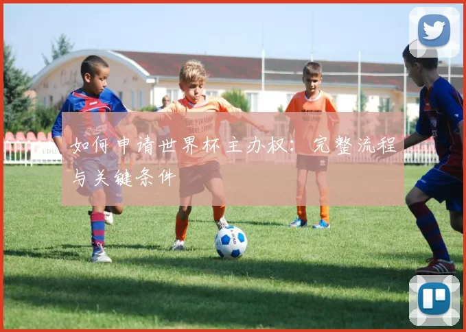 如何申请世界杯主办权：完整流程与关键条件