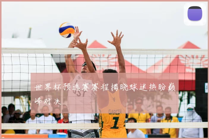 世界杯预选赛赛程揭晓球迷热盼巅峰对决