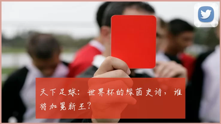 天下足球：世界杯的绿茵史诗，谁将加冕新王？